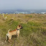 Dunas De Corrubedo Ribeira