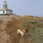 Dunas De Corrubedo *