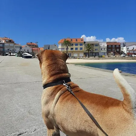 Dunas De Corrubedo 아파트