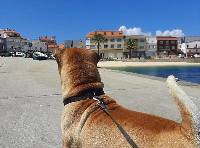 Dunas De Corrubedo Апартаменты