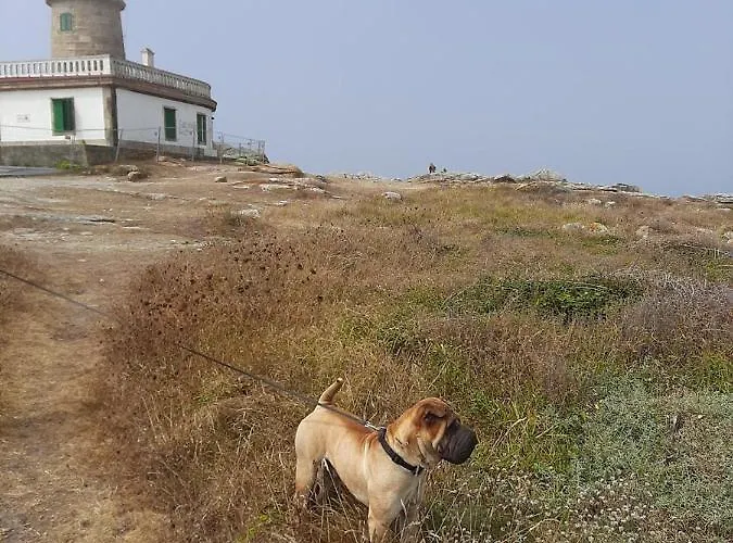 Dunas De Corrubedo *